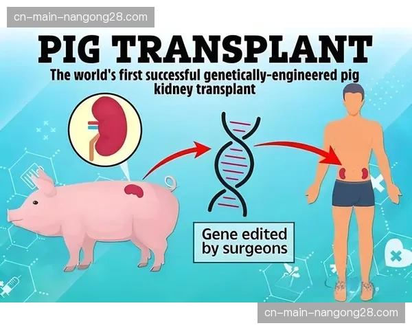 世界反兴奋剂机构发布新规，加大对基因编辑技术用于体能增强的监测与处罚